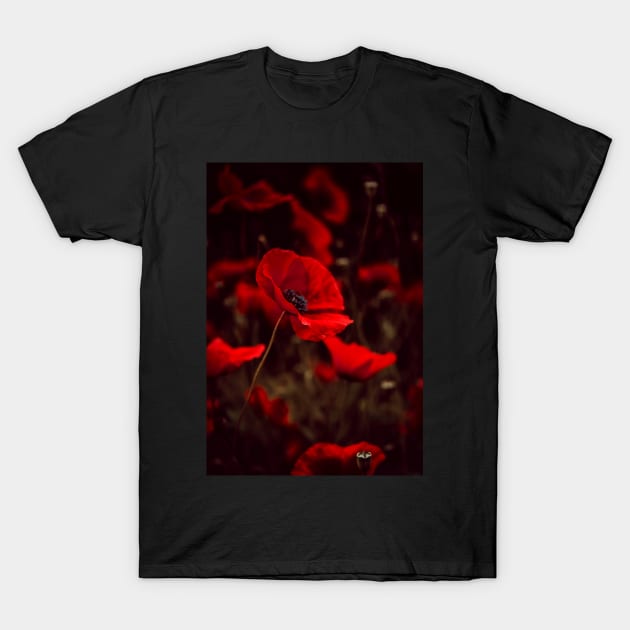 Red Poppies T-Shirt by Felicity-K